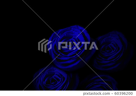 Blue rose in the dark Blue rose in the dark 60396200
