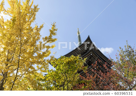 五層寶塔和秋天的落葉 五層寶塔和秋天的落葉 60396531