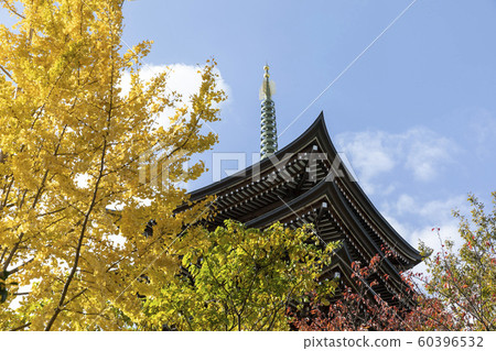 五層寶塔和秋天的落葉 五層寶塔和秋天的落葉 60396532