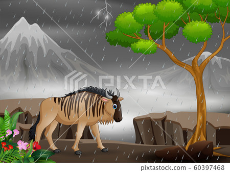 Cartoon Wildebeest Walking Under The Rain Stock Illustration