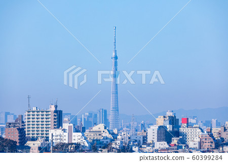 東京天空樹從市川之裡公園在秋天的天空中的視圖 60399284