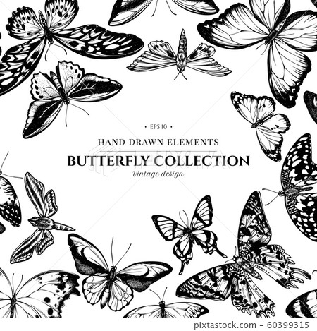Design with black and white papilio ulysses, morpho menelaus, graphium androcles, morpho rhetenor cacica, papilio demoleus, cethosia biblis, papilio antimachus, alcides agathyrsus, ornithoptera 60399315