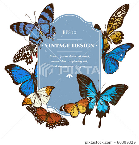 Badge design with colored papilio ulysses, morpho menelaus, morpho rhetenor cacica, cethosia biblis, papilio antimachus, alcides agathyrsus, hebomoia glaucippe, danaus chrysippus 60399329