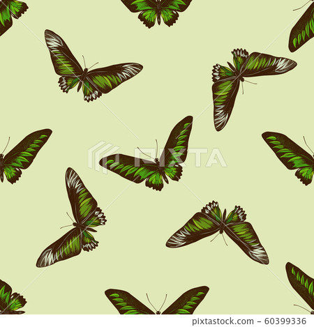 Seamless pattern with hand drawn colored trogonoptera brookiana 60399336