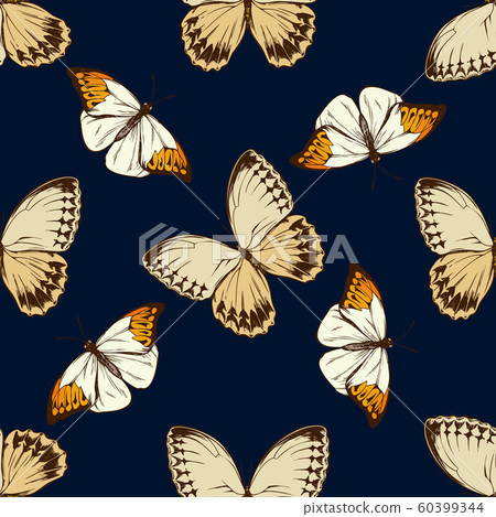 Seamless pattern with hand drawn colored hebomoia glaucippe, stichophthalma howqua Seamless pattern with hand drawn colored hebomoia glaucippe, stichophthalma howqua 60399344