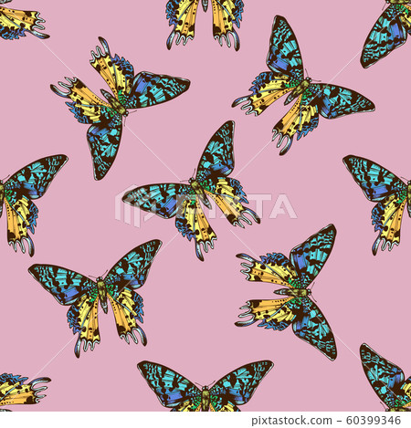 Seamless pattern with hand drawn colored urania rhipheus Seamless pattern with hand drawn colored urania rhipheus 60399346
