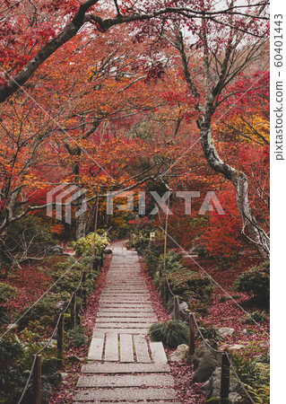 Autumn Treasure Chest 60401443