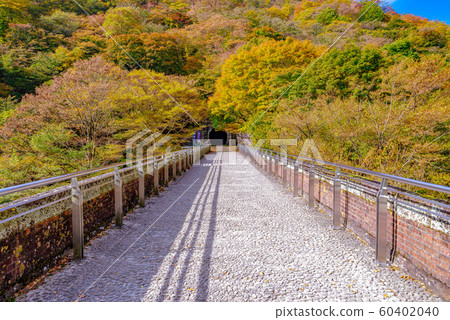 Eyeglass bridge [Annaka City, Gunma Prefecture] 60402040