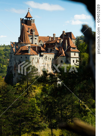 Bran castle, Brasov, Romania Bran castle, Brasov, Romania 60403289