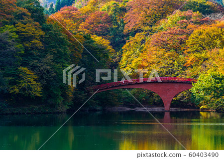 Lake Usui [Annaka City, Gunma Prefecture] 60403490