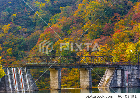 Lake Usui [Annaka City, Gunma Prefecture] 60403491