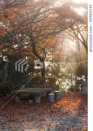 Naehide寺廟在秋天 60403545