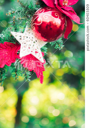 Christmas Image 60403809