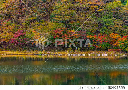 Lake Usui [Annaka City, Gunma Prefecture] 60403869