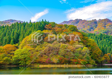 臼井湖[群馬縣安中市] 60403877