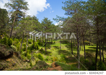 Waterfall in Catalonia surrounded by beautiful forests Waterfall in Catalonia surrounded by beautiful forests 60404247