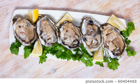 Opened oysters with lemon and herbs Opened oysters with lemon and herbs 60404488
