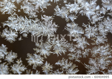 雪花，霜凍，霜凍，雪，冰， 60404995