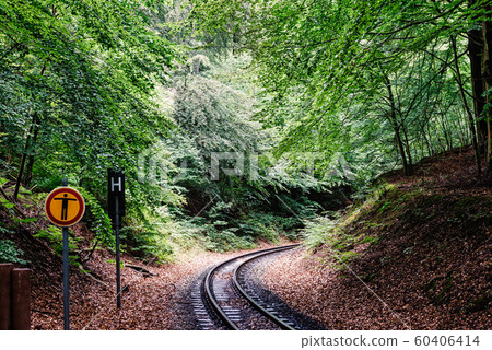 Narrow-gauge railway in woodland area of Granitz in Rugen Island, Germany Narrow-gauge railway in woodland area of Granitz in Rugen Island, Germany 60406414