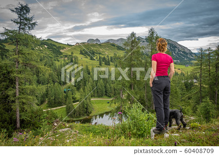 hikers in the austrian alps walk on mountain hiking trails in the woods around the lakes hikers in the austrian alps walk on mountain hiking trails in the woods around the lakes 60408709