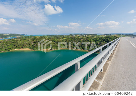 Warumi Ohashi 60409242