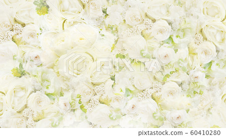Background-roses-white 60410280