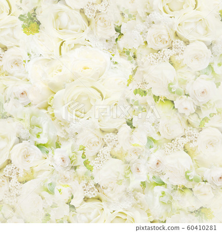 Background-roses-white Background-roses-white 60410281