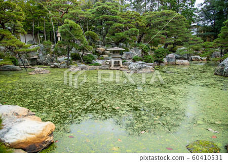 三重縣桑名市盛野花園秋季公開展覽 60410531