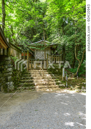 Noto Kokuichi Ichinomiya, a forest that has not entered the company 60410943