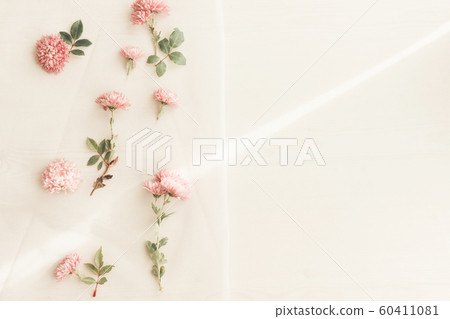 Pink flower on a background. 60411081