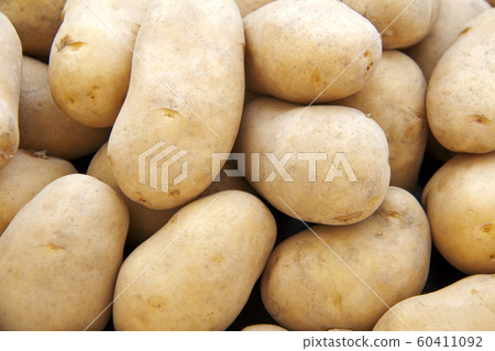 土豆 60411092