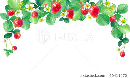 Strawberry arched frame (small), watercolor illustration Strawberry arched frame (small), watercolor illustration 60411470