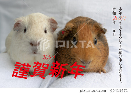New Year's card material New Year's card material 60411471