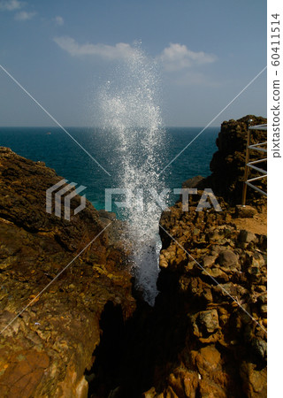 View to Blow Hole aka Hummanaya, Kudawella, Sri 60411514