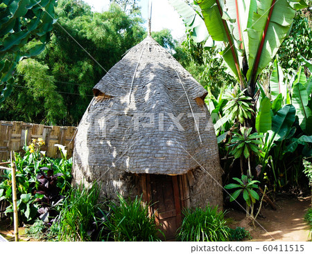 Traditional Dorze tribe house in Chencha , 60411515