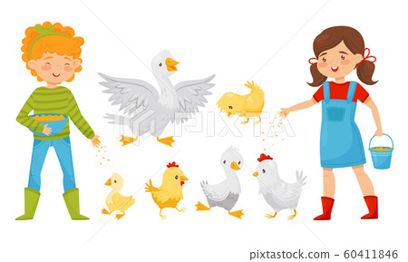 Boy and Girl Farmers Feeding Geese and Chickens, Farm Poultry Birds Breeding Vector Illustration 60411846