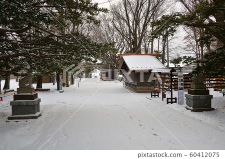 Photographing the winter snow scene in the precincts of Kameda Hachimangu Shrine in Hakodate, Hokkaido Photographing the winter snow scene in the precincts of Kameda Hachimangu Shrine in Hakodate, Hokkaido 60412075