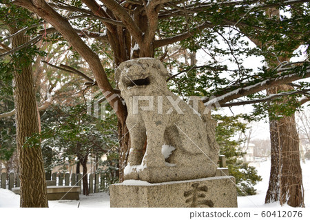 Photographing the winter snow scene in the precincts of Kameda Hachimangu Shrine in Hakodate, Hokkaido Photographing the winter snow scene in the precincts of Kameda Hachimangu Shrine in Hakodate, Hokkaido 60412076
