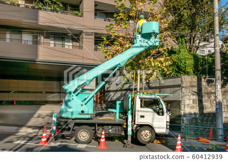 Street tree pruning work using a crane truck 60412939