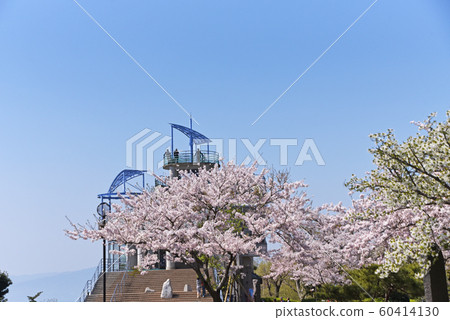 湘南平(高靈公園) 湘南平(高靈公園) 60414130