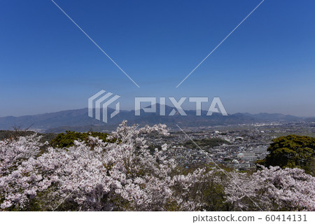來自Shonan Ping的Oyama 來自Shonan Ping的Oyama 60414131