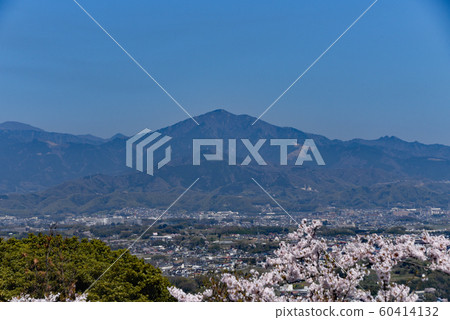 來自Shonan Ping的Oyama 來自Shonan Ping的Oyama 60414132