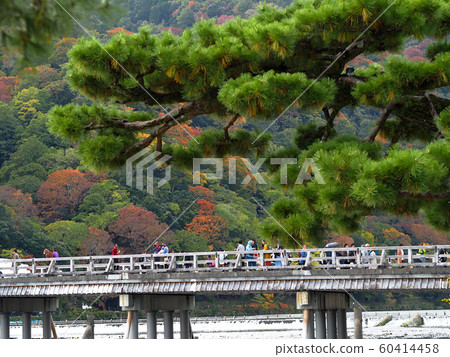 Arashiyama Togetsukyo Bridge and Katsura River Arashiyama Togetsukyo Bridge and Katsura River 60414458
