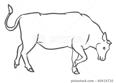 Cow Line Drawing Illustration Stock Illustration 60414710 Pixta