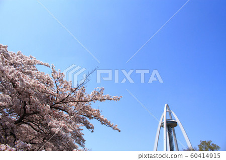 Ichinomiya City Twin Arch 138 and Sakura Ichinomiya City Twin Arch 138 and Sakura 60414915