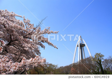 Ichinomiya City Twin Arch 138和Sakura Ichinomiya City Twin Arch 138和Sakura 60414919