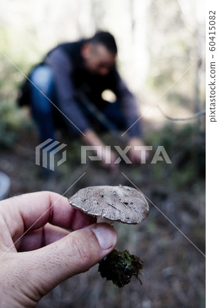 men picking mushrooms in a forest 60415082