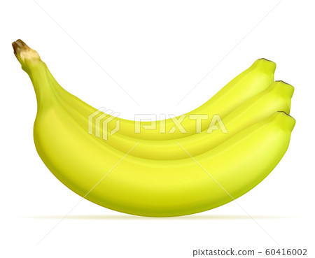 banana ripe yellow and a some green vector 60416002