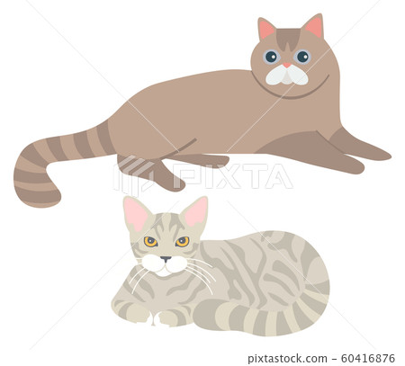 Cats Laying on Floor, Set of Kittens Fluffy Kitty 60416876