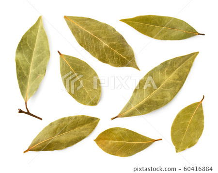 Set of Bay leaves on a white background. The view Set of Bay leaves on a white background. The view 60416884